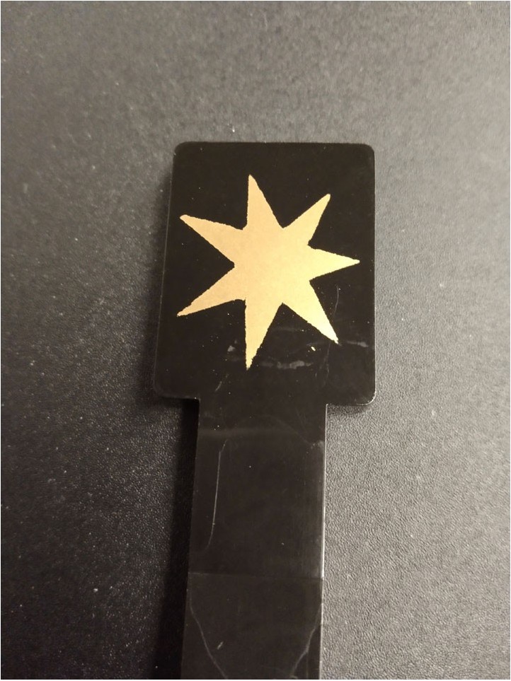 Target GOTTLIEB - Black - Golden Star