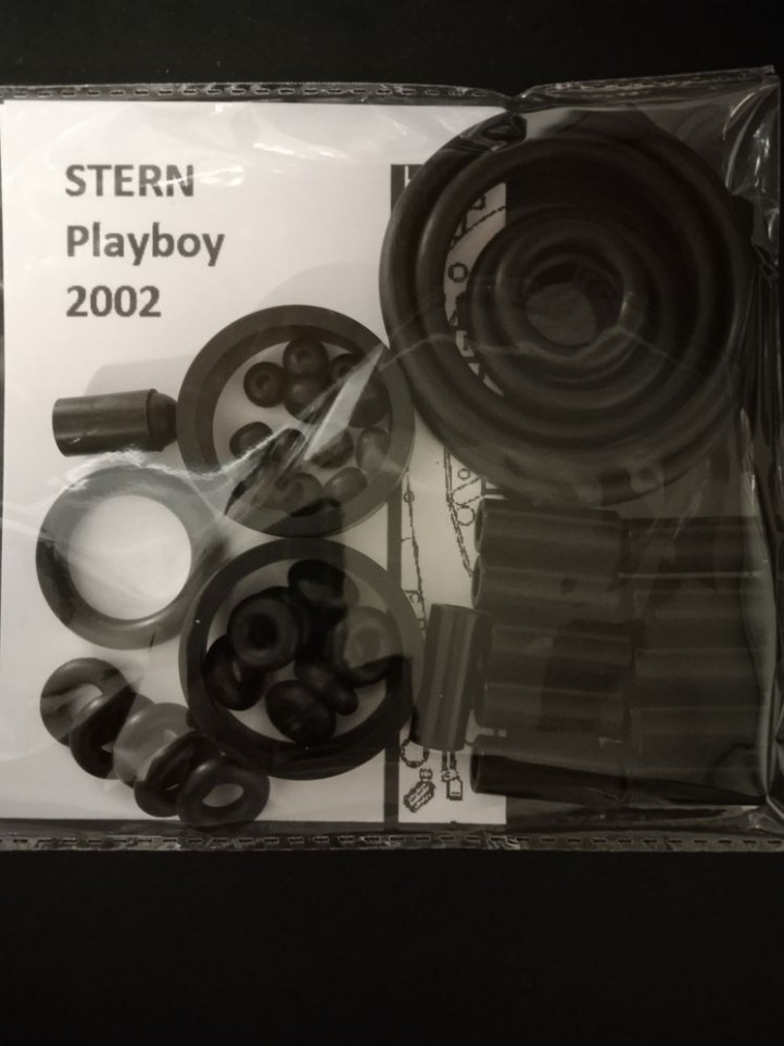 STERN - PLAYBOY - 2002