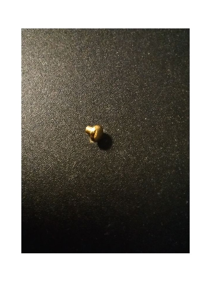 Goldplated Rivet