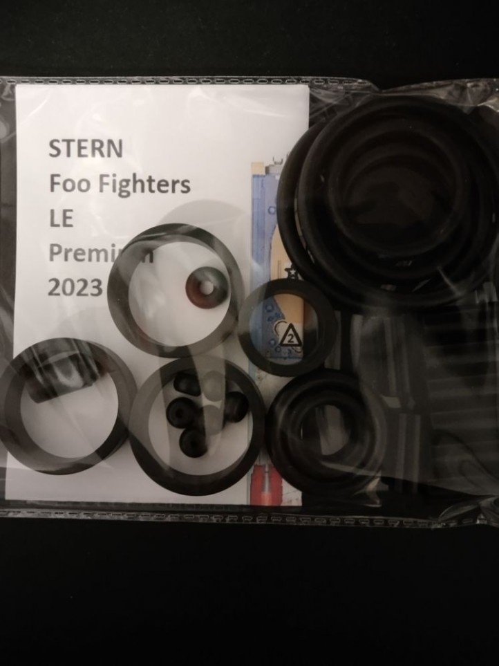 STERN - Foo Fighters - LE / Premium - 2023 STERN - Foo Fighters - LE / Premium - 2023