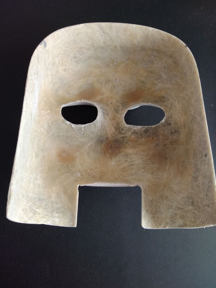 WILLIAMS - Funhouse - Rudy's Face - Glass Fiber