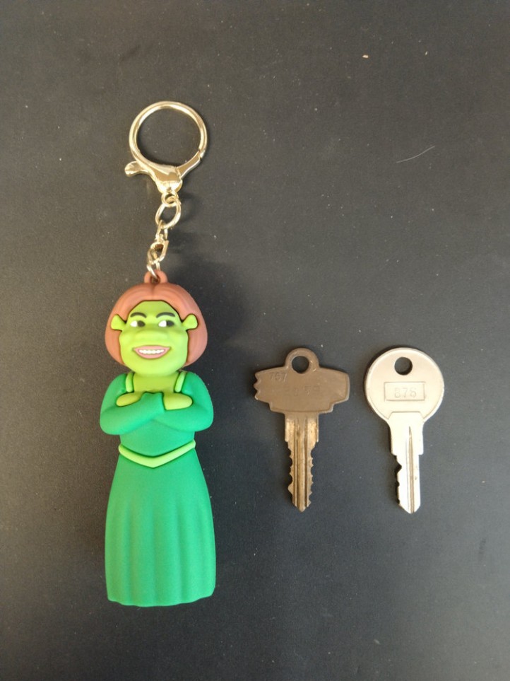 Key Holder - Shrek - Fiona - 3D