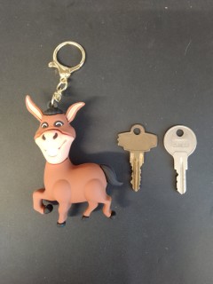 Porte Clé - Shrek - Ane - 3D