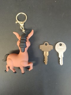 Porte Clé - Shrek - Ane - 3D