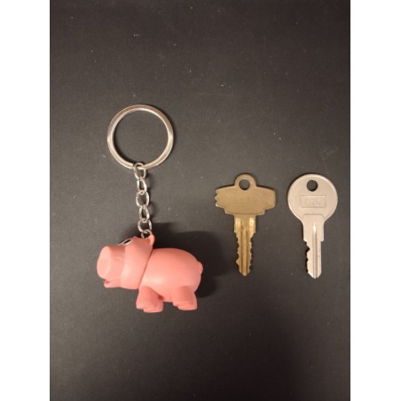 Porte Clé - Toy Story - Bayonne - 3D