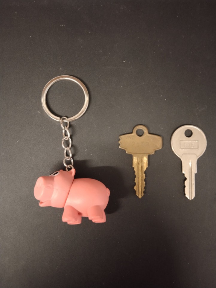 Key Holder - Toy Story - Hamm - 3D