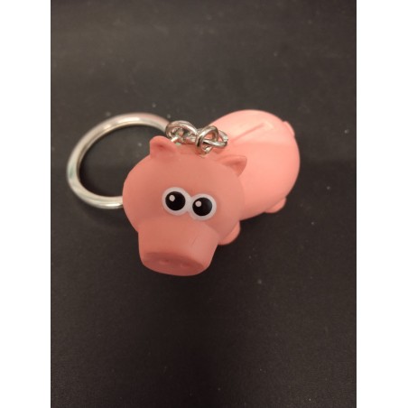 Porte Clé - Toy Story - Bayonne - 3D