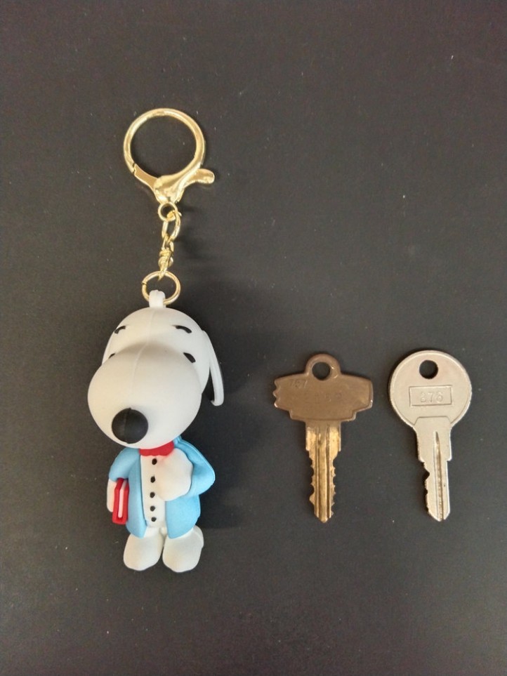 Key Holder - Snoopy - Teacher - 3D