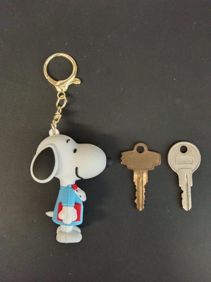 Key Holder - Snoopy - Teacher - 3D